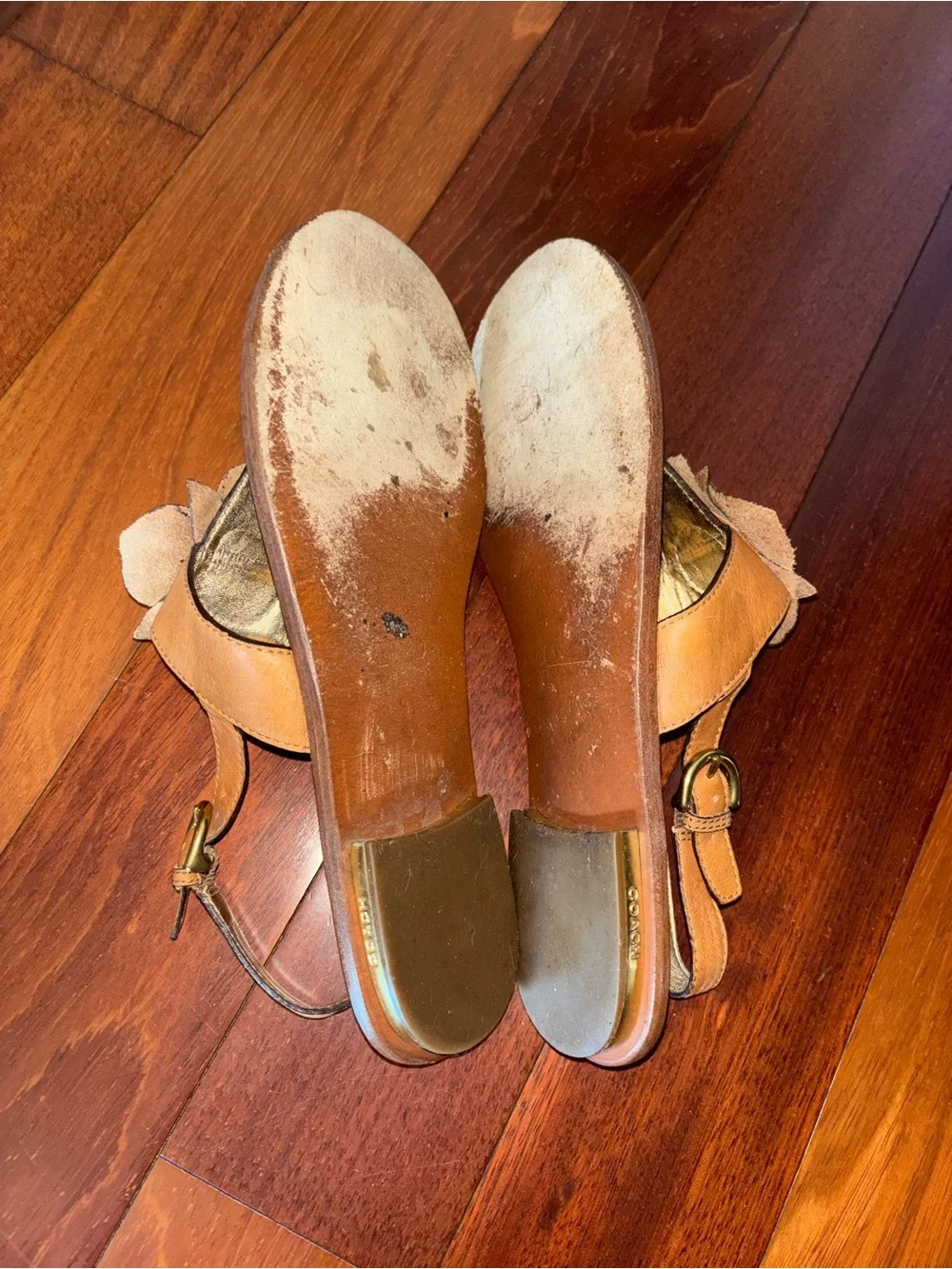 Coach Tan Leather Floral Thong Sandals with Gold-Tone Studs